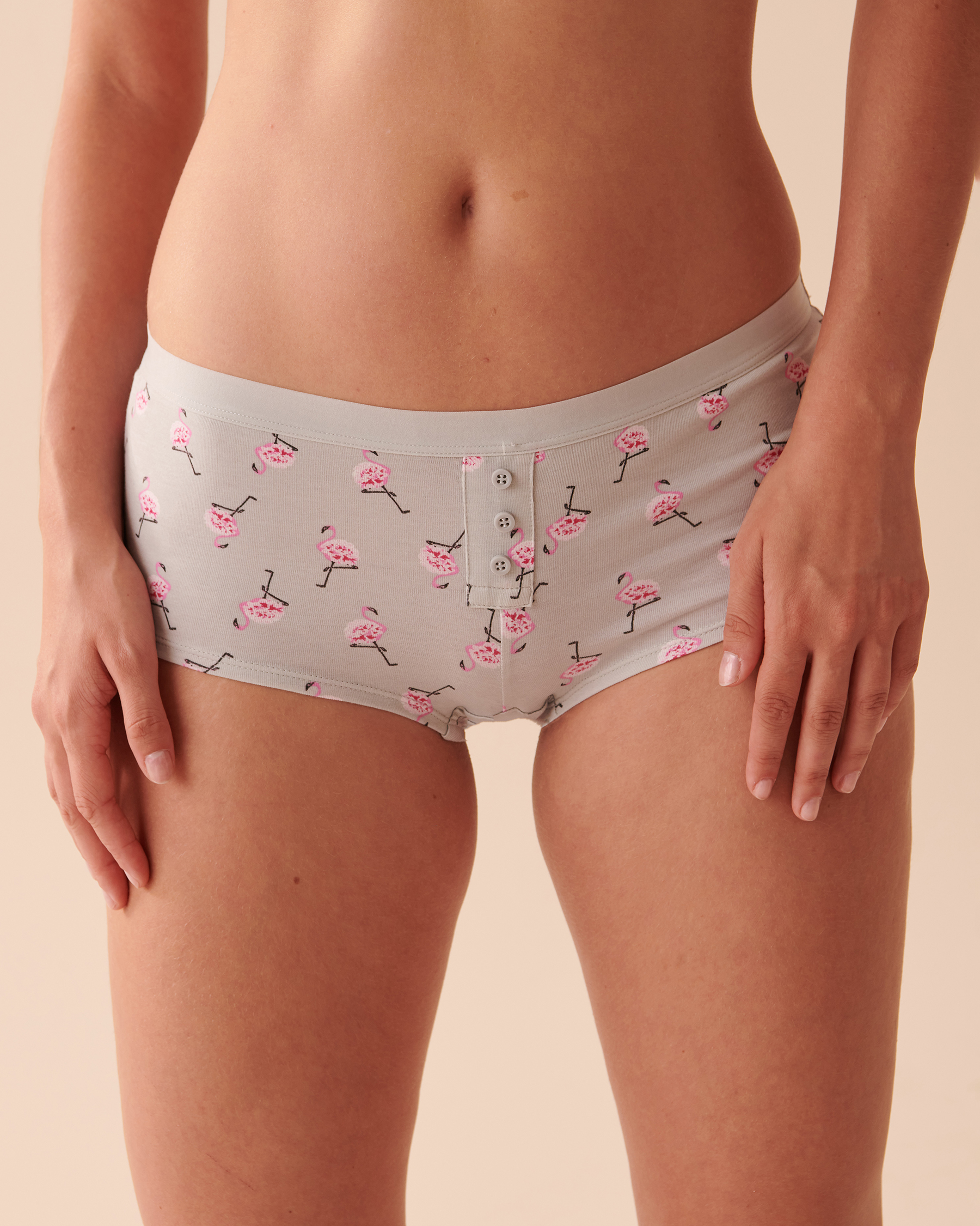 la Vie en Rose Women’s Pink Flamingos Cotton Boyleg Panty