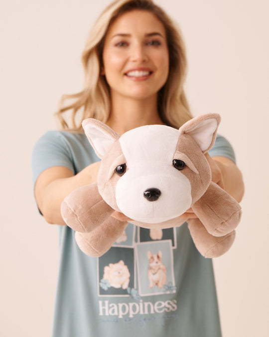 Asset