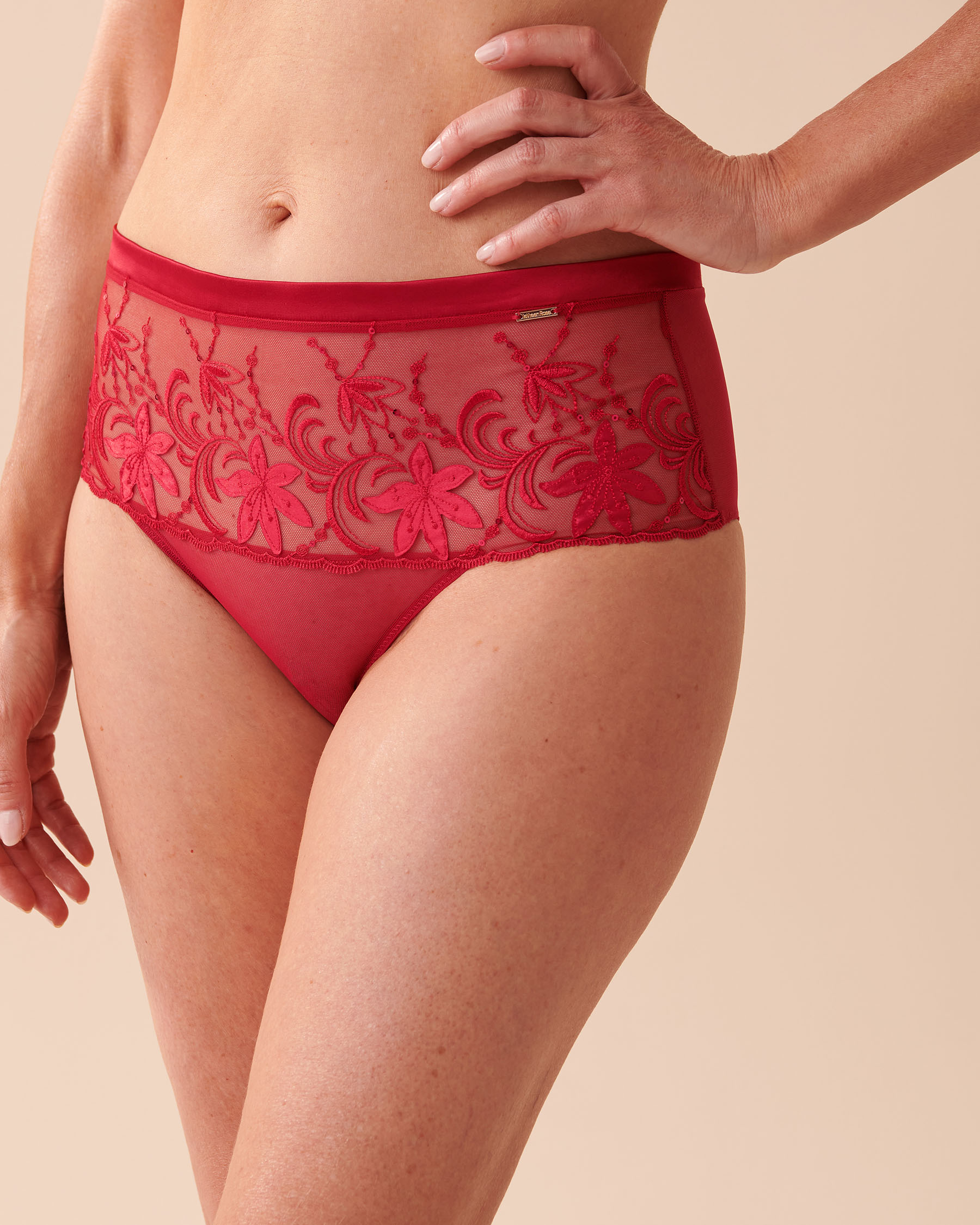 la Vie en Rose Women’s Jingle Red Floral Applique Mesh High Waist Bikini Panty